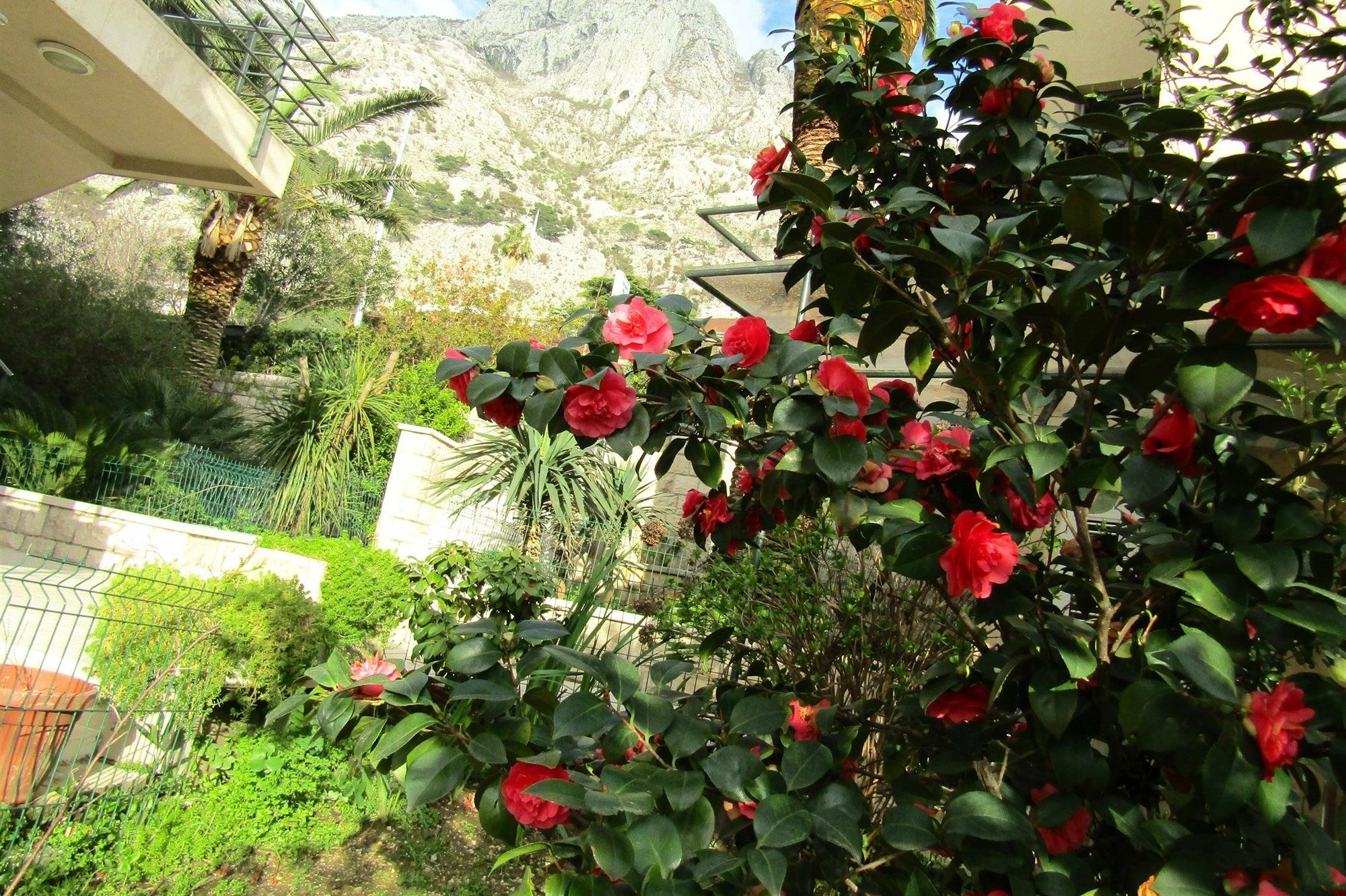 Palma Apartments Kotor Eksteriør billede